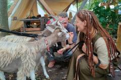 Die Ziegen mit der Ziege