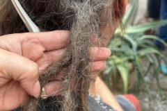 Abenteuerliche Pflege-Notfälle…