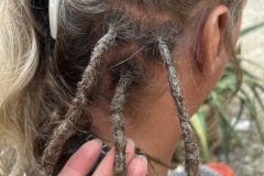 …werden hier kurz in Ordnung gebracht.