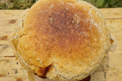 Krustenbrot