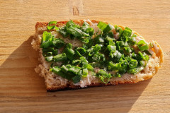 Krustenbrot