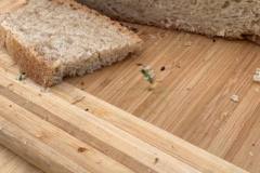Krustenbrot