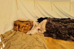 20220602_090002-scaled