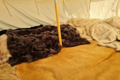 20220602_090004-scaled