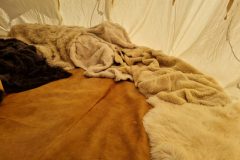 20220602_090007-scaled