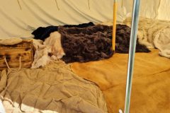 20220602_090012-scaled