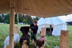 PNG-Bild-10