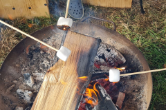 PNG-Bild-113