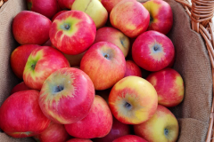 PNG-Bild-19