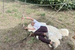 Horto Historico in Teublitz (2025)