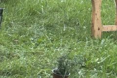 Der Himmel weint immer noch