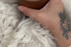 Morgenkaffee im Zelt